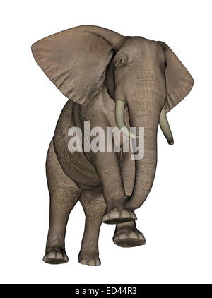 Großen schönem Elefanten stehen in weißem Hintergrund Stockfoto