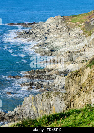 Felsige Küste westlich von Rame Head in Südost Cornwall, England Stockfoto