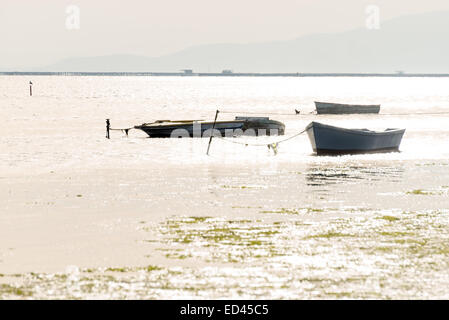 Angelboote/Fischerboote vertäut im Ebro-Delta bei Sonnenuntergang, Sant Carles De La Ràpita, Katalonien, Spanien Stockfoto