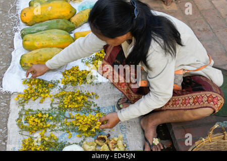 Open-Air-Markt in Luang Prabang, Laos Stockfoto