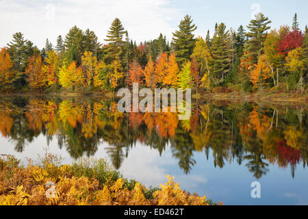 Pontook-Stausee am Androscoggin River entlang Route 16 in Dummer, New Hampshire USA während der Herbstmonate Stockfoto