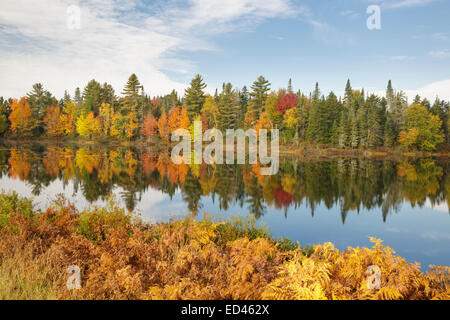 Pontook-Stausee am Androscoggin River entlang Route 16 in Dummer, New Hampshire USA während der Herbstmonate Stockfoto
