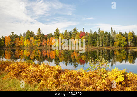 Pontook-Stausee am Androscoggin River entlang Route 16 in Dummer, New Hampshire USA während der Herbstmonate Stockfoto