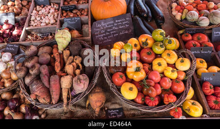 Gemüse der Saison in verschiedenen Behältern und Körbe auf einem Stall Kürbisse Kürbisse, root veg Tomaten Stockfoto