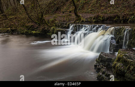 Kaskade an den Wasserfällen gehen, Pontneddfechan, Wales, UK Stockfoto