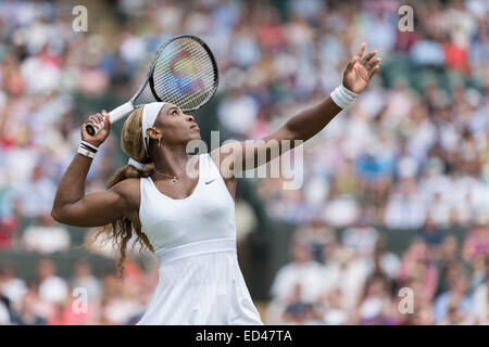 26.06.2014. die Wimbledon Tennis Championships 2014 statt in The All England Lawn Tennis and Croquet Club, London, England, UK. Stockfoto