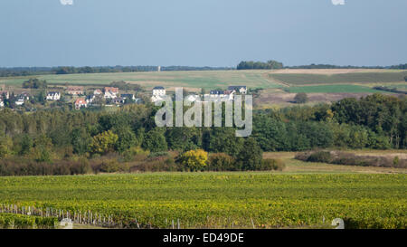 Francueil Dorf, in Zentral Frankreich. Grape picking Tag im Weinberg mit dem Einheimischen für die lokalen Touraine Wein Stockfoto