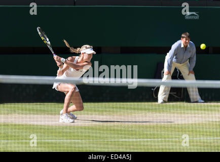 03.07.2014. die Wimbledon Tennis Championships 2014 statt in The All England Lawn Tennis and Croquet Club, London, England, UK. Stockfoto