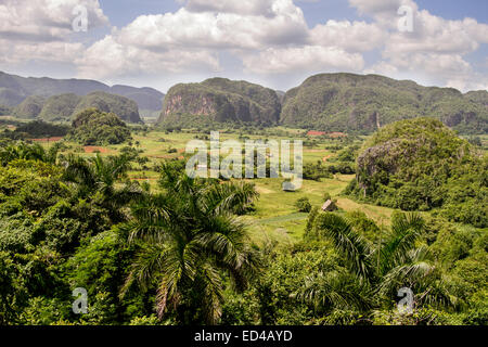 Mogotes in Valle de Viñales, Kuba Stockfoto