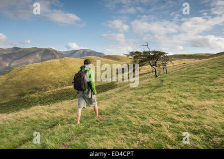 Walker auf Fellbarrow, englischen Lake District Nationalpark Stockfoto