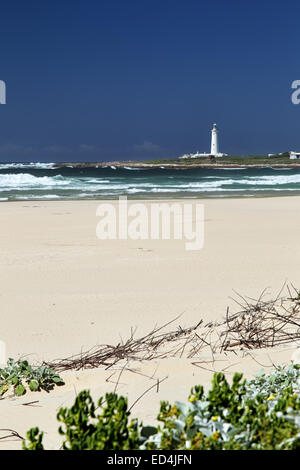 Strand und Licht Haus von Cape St. Francis, Südafrika. Stockfoto