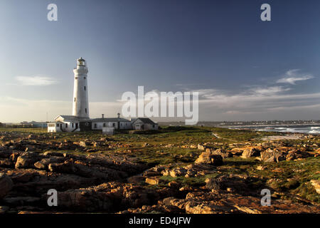 Abendlicht am Seal Point Leuchtturm in Cape St. Francis auf der Garden Route, South Africa. Stockfoto