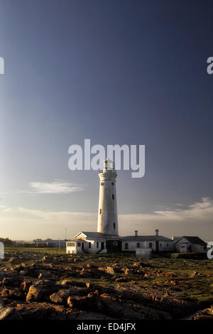 Abendlicht am Seal Point Leuchtturm in Cape St. Francis auf der Garden Route, South Africa. Stockfoto