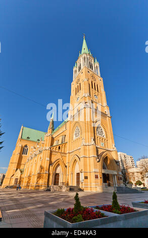 Kathedrale Basilica des Heiligen Stanislaus Kostka (ca. 1912) in Lodz, Polen. Architeckt Emil Zillmann Stockfoto