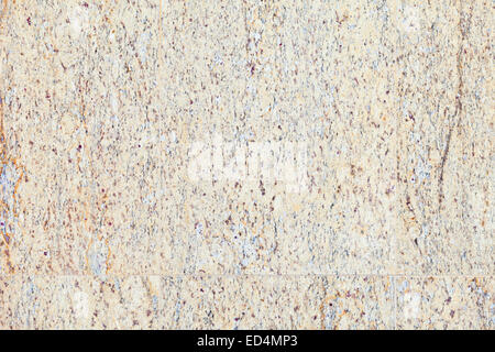 Fliesenwand (Steinfliese) als Hintergrund, Puerto De La Cruz, Teneriffa, Kanarische Inseln, Spanien. Stockfoto
