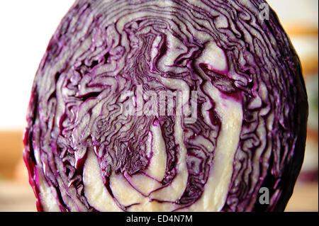 Rohen Rotkohl halbieren Stockfoto