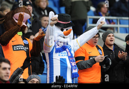 Fußball-Fan, gekleidet wie ein Schneemann in Brighton und Hove Albion Spiel Stockfoto