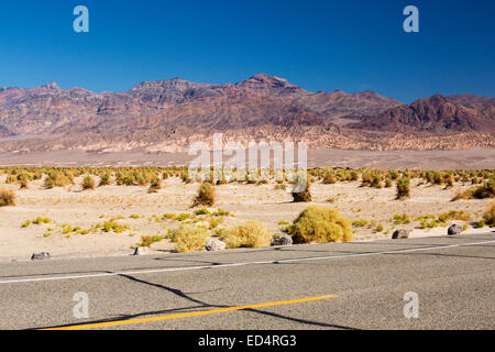 Die Straße durch das Death Valley, die den niedrigsten, heißesten und trockensten Ort in den USA, mit einer durchschnittlichen jährlichen Niederschlagsmenge von etwa 2 Zoll einige Jahre ist, die es nicht überhaupt keinen Regen erhält. Stockfoto