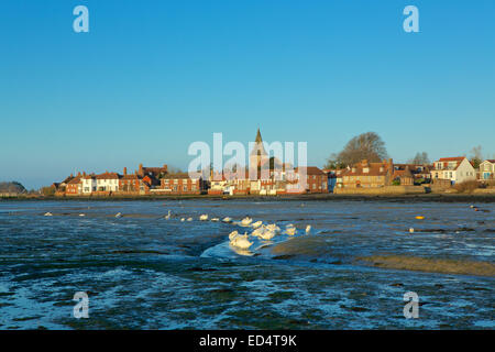 Bosham im Winter. Ebbe beschossen Sie im hellen frühen Morgenlicht. Stockfoto