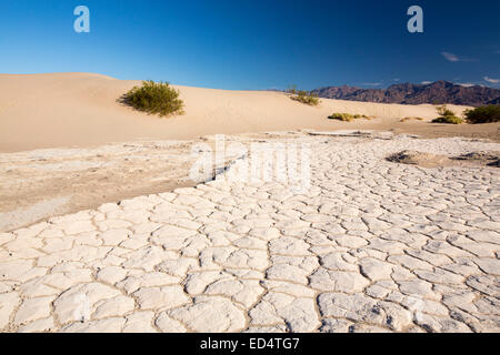 Die Mesquite flache Sanddünen im Death Valley, die den niedrigsten, heißesten und trockensten Ort in den USA, mit einer durchschnittlichen jährlichen Niederschlagsmenge von etwa 2 Zoll einige Jahre ist, die es nicht überhaupt keinen Regen erhält. Stockfoto
