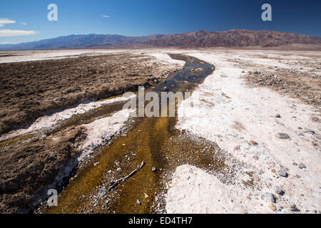 Salzige Bäche im Death Valley, die den niedrigsten, heißesten und trockensten Ort in den USA, mit einer durchschnittlichen jährlichen Niederschlagsmenge von etwa 2 Zoll einige Jahre ist, die es nicht überhaupt keinen Regen erhält. Stockfoto