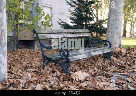 Holzbank mit Herbst Laub bedeckt. Bank vor dem Wohnhaus. Stockfoto