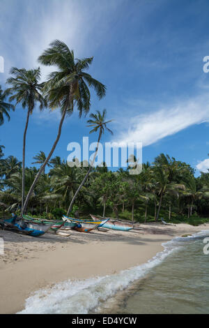 Sri Lanka Fischerboote am Sandstrand mit Kokospalmen. Rocky Point, Tangalle, südliche Provinz, Sri Lanka, Asien. Stockfoto