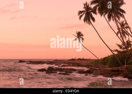 Rosa Sonnenuntergang Rocky Point. Rosa Sonnenuntergang am Rocky Point, Goyambokka, Tangalle, südlichen Provinz, Sri Lanka, Asien. Stockfoto