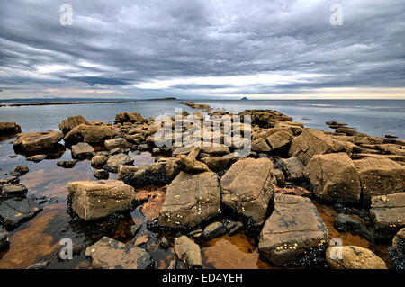 Die Aussicht auf Ailsa Craig von der Isle of Arran, Schottland Stockfoto