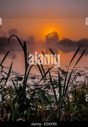 Unglaublich schöne Sonnenaufgang über dem See, nebligen Stockfoto