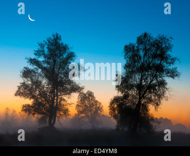 Unglaublich schöne Sonnenaufgang über dem See, nebligen Stockfoto