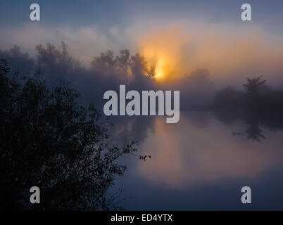 die Sonne strahlt, gründliche Bäumen und grünen Stockfoto