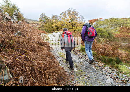 Zwei Menschen zu Fuß auf einer Strecke bei Nässe, Moel Siabod, Capel Curig, Gwynedd, Nordwales, UK Stockfoto