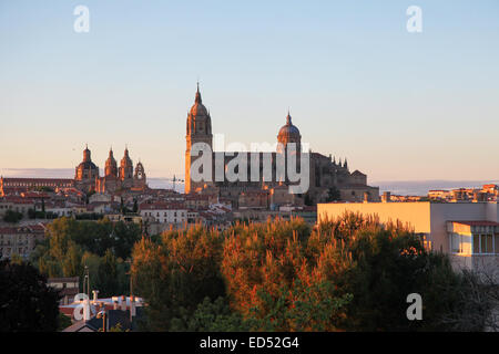 Blick auf das alte Zentrum von Salamanca, Kastilien und Leon, Spanien, mit der alten und der neuen Kathedrale. Stockfoto