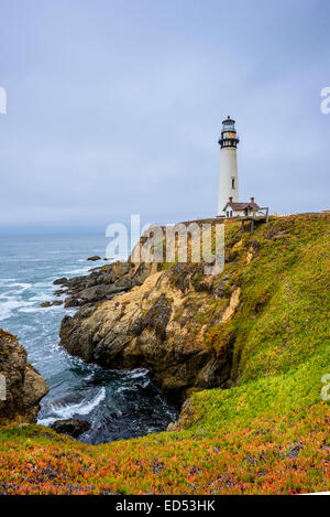 Pigeon Point Lighthouse. Stockfoto