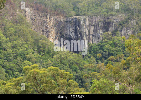 Ein Foto von Minyon Falls in der Nähe von Byron Bay in Australien. Der Wasserfall ist eine beliebte Touristenattraktion. Stockfoto