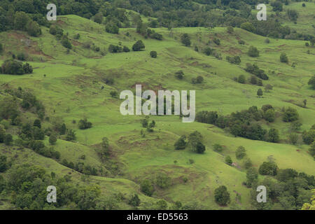 Ein Foto von einigen grünen Hügeln in der Nähe der Grenze zwischen New South Wales und Queensland in Australien. Stockfoto