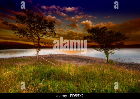Loch Shiel in den Highlands von Schottland Stockfoto