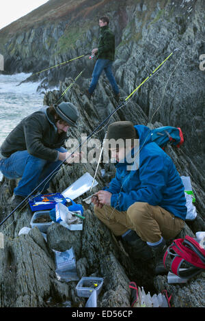 Männer-Sea Fishing - Baggy Point North Devon, UK Stockfoto