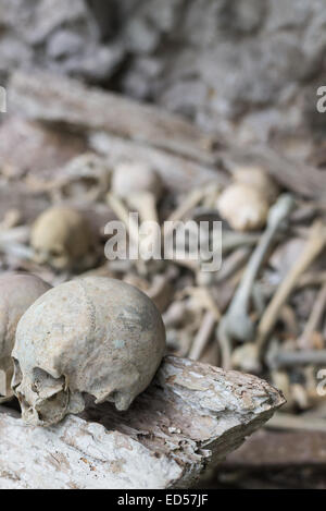 Menschliche Knochen und Schädel in Ketekesu (Tana Toraja, Süd-Sulawesi, Indonesien), traditionellen Grabstätte mit halb offenen alten hölzernen c Stockfoto