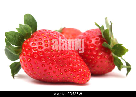 drei Reife, frische Erdbeeren Stockfoto