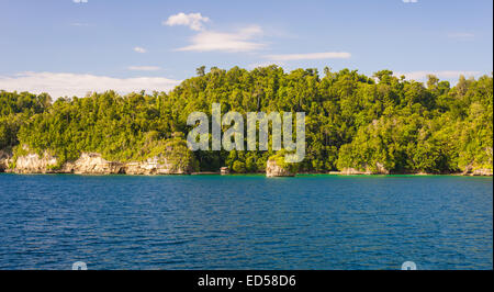 Felsige Küste der Insel bedeckt von dichtem Dschungel in das blaue Meer der entfernten Togean Islands (oder Togian Inseln), zentrale Sula Stockfoto