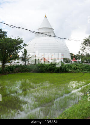 Die Tissamaharama Raja Maha Vihara buddhistischer Tempel Stockfoto