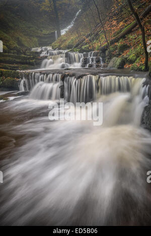 Eine Reihe von kleineren Wasserfällen an der berühmten Maßstabsleiste zwingen, Yorkshire Dales Stockfoto