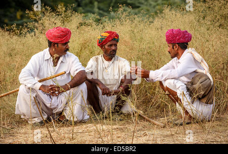 Drei indische Bauern aus Rajasthan tragen traditionelle Kleider und rote Turbane hocken in hohen Gräsern Stockfoto