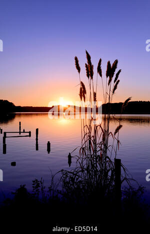 Sonnenuntergang am Whispering Pines See, Nord-Carolina auch bekannt als Thagards See Stockfoto