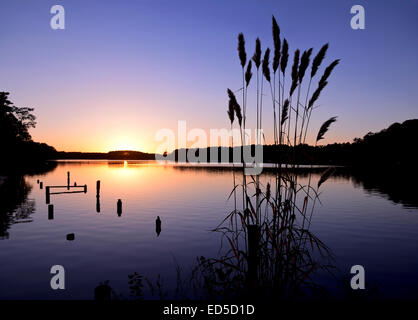 Sonnenuntergang am Whispering Pines Lake, North Carolina auch als thagards See bekannt Stockfoto