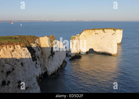 Der Old Harry Rocks Kreide Formationen an Handfast Punkt auf der Isle of Purbeck in Dorset an der Jurassic Coast der UNESCO. Stockfoto