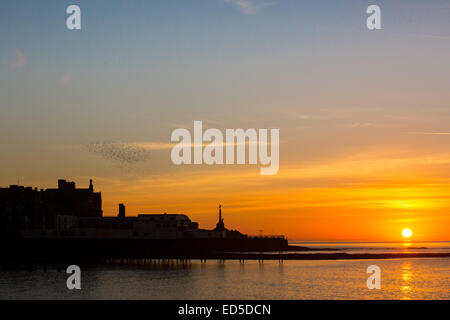 Aberystwyth, Wales, UK. 28. Dezember 2014.  UK-Wetter: Am Ende von einem knackigen, sonnig, warm nach Weihnachten Wintertag, die Sonne über Aberystwyth, wie eine Herde von Staren in zum Schlafplatz fliegt. Bildnachweis: Alan Hale/Alamy Live-Nachrichten Stockfoto