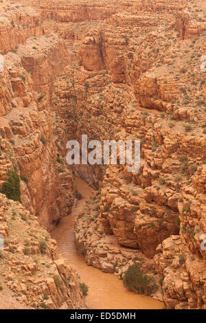 Dades Schlucht. In der Nähe von Todra Schlucht. Marokko. Nordafrika. Afrika Stockfoto